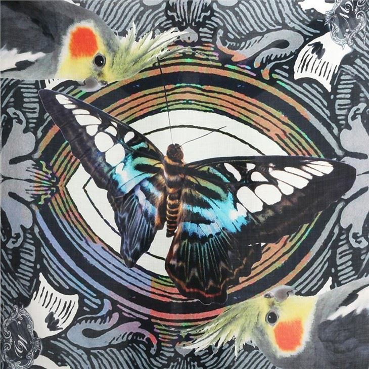china Print Merino Wool Pashmina Shawls